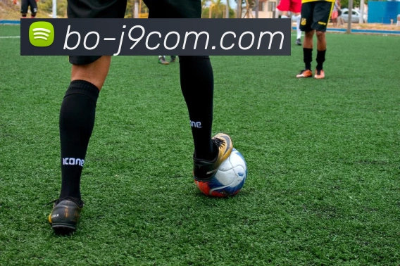 App Interface Preview